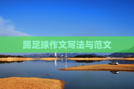 踢足球作文写法与范文