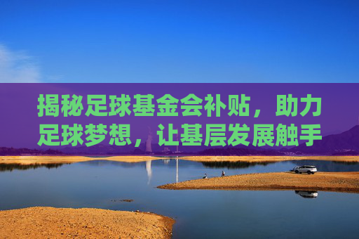 揭秘足球基金会补贴,助力足球梦想,让基层发展触手可及