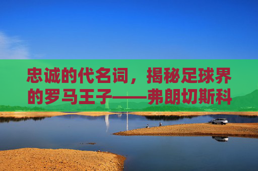 忠诚的代名词,揭秘足球界的罗马王子——弗朗切斯科·托蒂