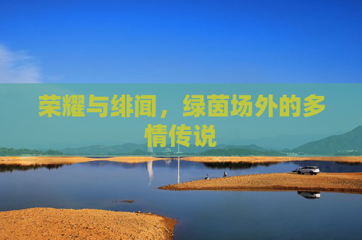 荣耀与绯闻，绿茵场外的多情传说