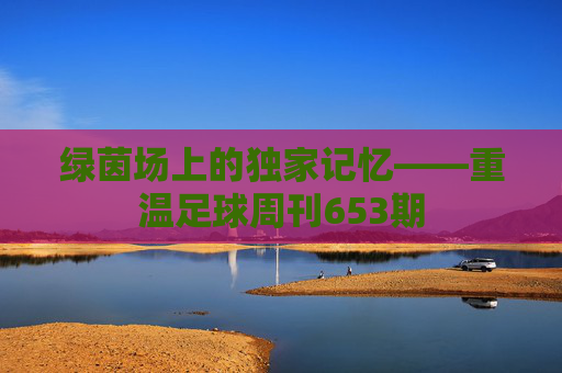 绿茵场上的独家记忆——重温足球周刊653期