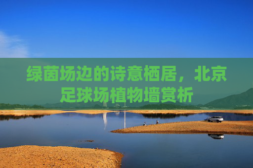 绿茵场边的诗意栖居，北京足球场植物墙赏析