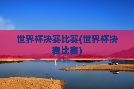 世界杯决赛比赛(世界杯决赛比赛)