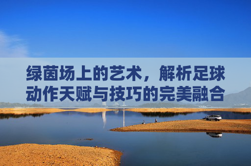 绿茵场上的艺术,解析足球动作天赋与技巧的完美融合