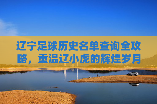 辽宁足球历史名单查询全攻略,重温辽小虎的辉煌岁月