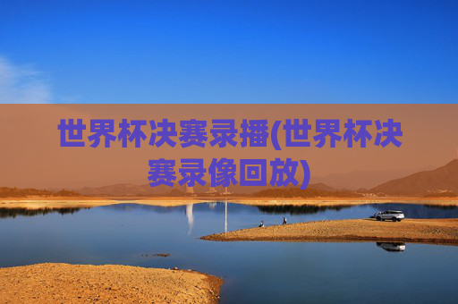 世界杯决赛录播(世界杯决赛录像回放)