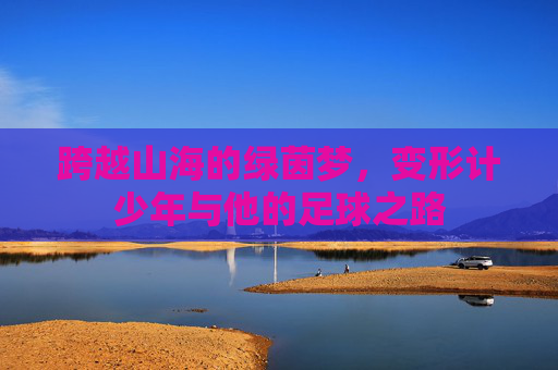 跨越山海的绿茵梦,变形计少年与他的足球之路