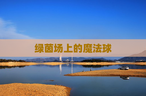 绿茵场上的魔法球