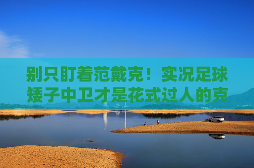 别只盯着范戴克!实况足球矮子中卫才是花式过人的克星与性价比之王