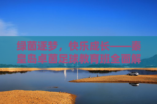 绿茵逐梦,快乐成长——秦皇岛卓茵足球教育班全面解析
