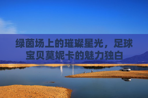绿茵场上的璀璨星光，足球宝贝莫妮卡的魅力独白