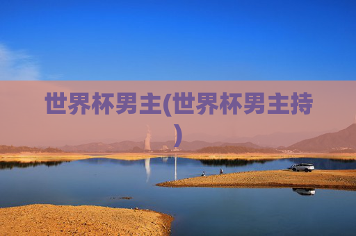 世界杯男主(世界杯男主持)
