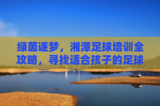 绿茵逐梦，湘潭足球培训全攻略，寻找适合孩子的足球天地