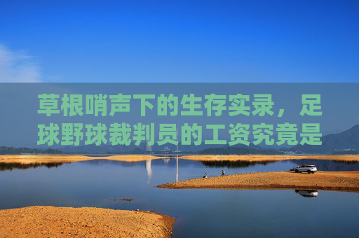 草根哨声下的生存实录,足球野球裁判员的工资究竟是多少?