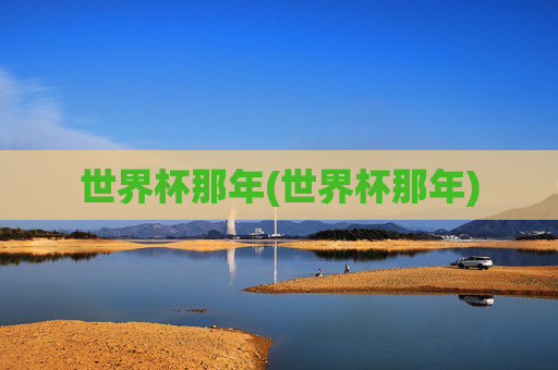 世界杯那年(世界杯那年)