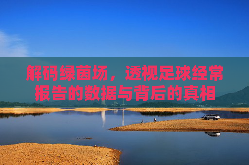 解码绿茵场,透视足球经常报告的数据与背后的真相