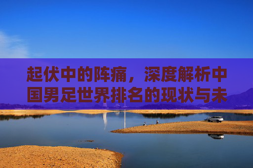 起伏中的阵痛,深度解析中国男足世界排名的现状与未来