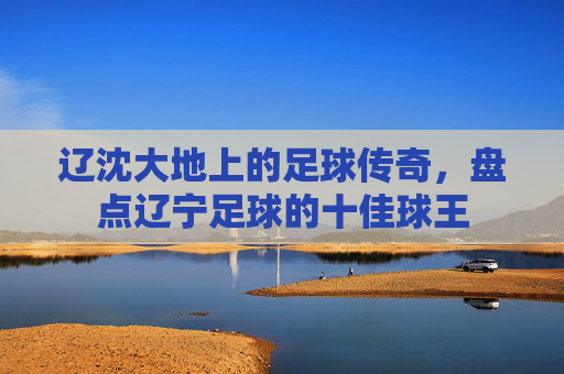 辽沈大地上的足球传奇，盘点辽宁足球的十佳球王