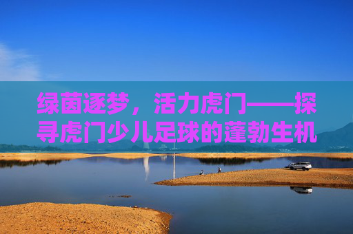 绿茵逐梦,活力虎门——探寻虎门少儿足球的蓬勃生机