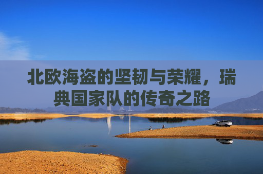 北欧海盗的坚韧与荣耀,瑞典国家队的传奇之路