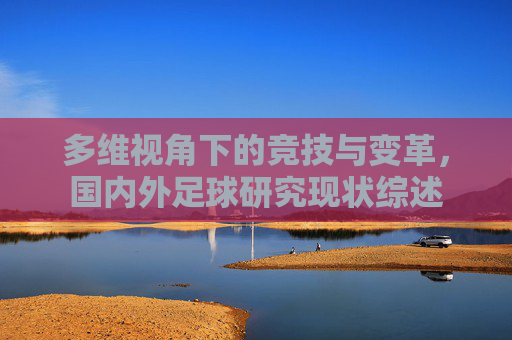 多维视角下的竞技与变革，国内外足球研究现状综述