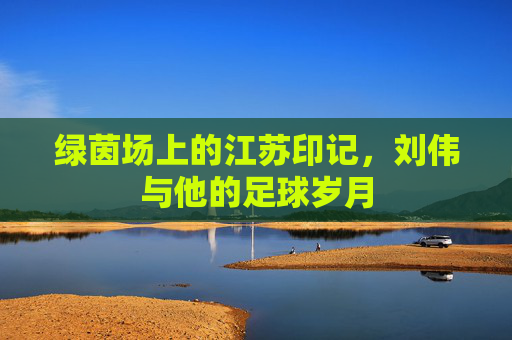 绿茵场上的江苏印记，刘伟与他的足球岁月