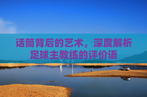 话筒背后的艺术，深度解析足球主教练的评价语
