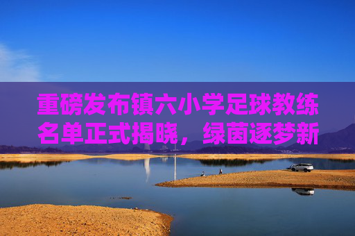 重磅发布镇六小学足球教练名单正式揭晓,绿茵逐梦新力量集结!