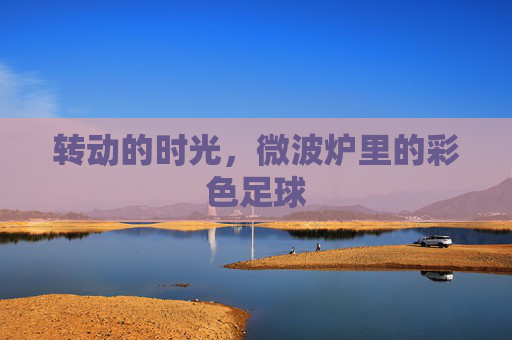 转动的时光,微波炉里的彩色足球