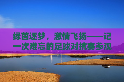 绿茵逐梦，激情飞扬——记一次难忘的足球对抗赛参观表演