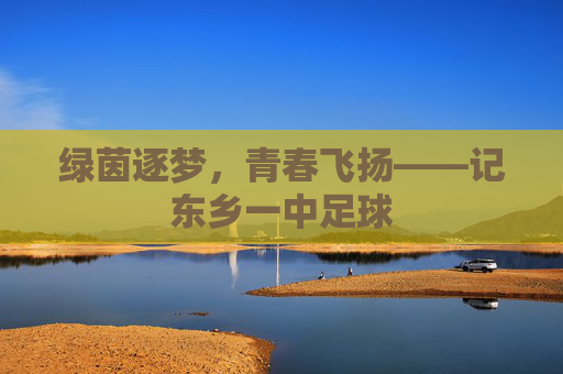 绿茵逐梦,青春飞扬——记东乡一中足球