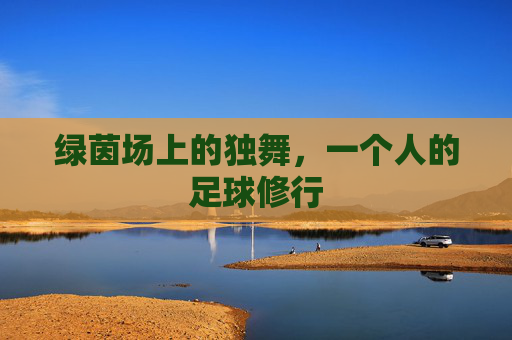 绿茵场上的独舞,一个人的足球修行