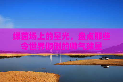 绿茵场上的星光,盘点那些令世界倾倒的帅气球星