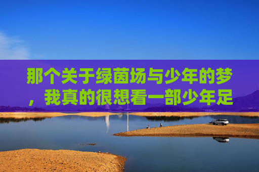 那个关于绿茵场与少年的梦,我真的很想看一部少年足球电影