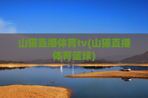 山猫直播体育tv(山猫直播体育篮球)