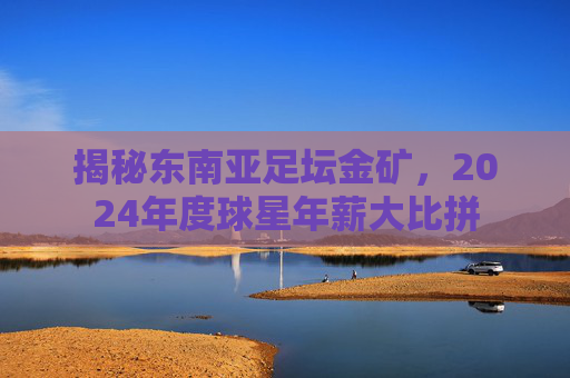 揭秘东南亚足坛金矿,2024年度球星年薪大比拼