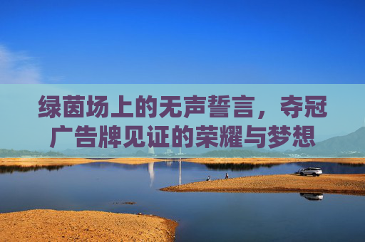 绿茵场上的无声誓言，夺冠广告牌见证的荣耀与梦想