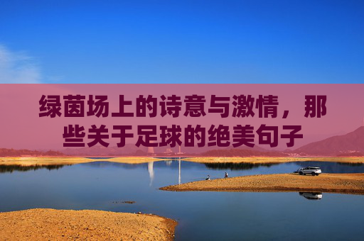 绿茵场上的诗意与激情,那些关于足球的绝美句子