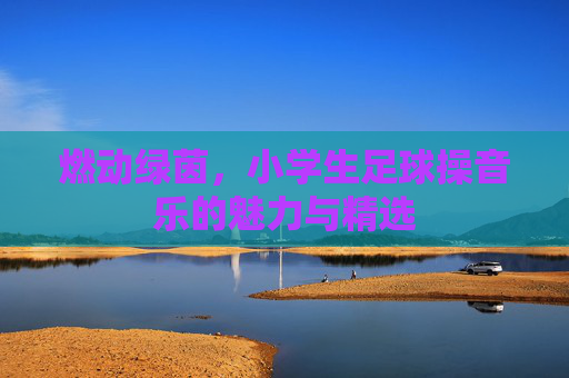 燃动绿茵,小学生足球操音乐的魅力与精选
