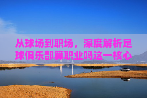 从球场到职场,深度解析足球俱乐部算职业吗这一核心命题