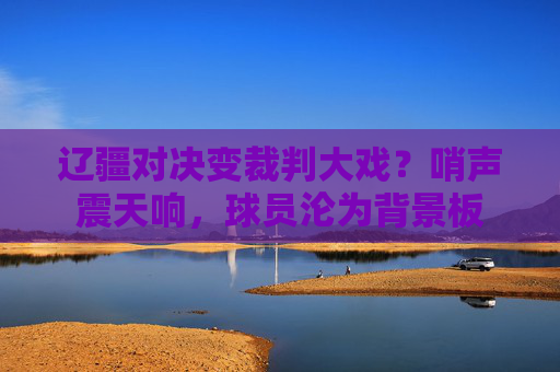 辽疆对决变裁判大戏?哨声震天响,球员沦为背景板