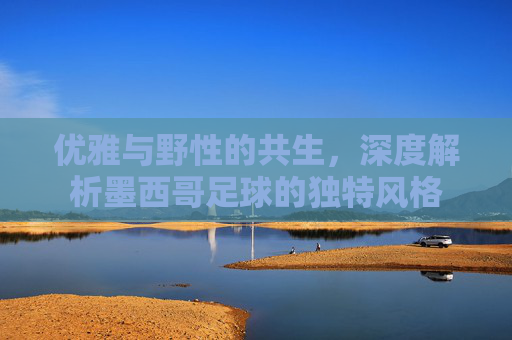优雅与野性的共生,深度解析墨西哥足球的独特风格