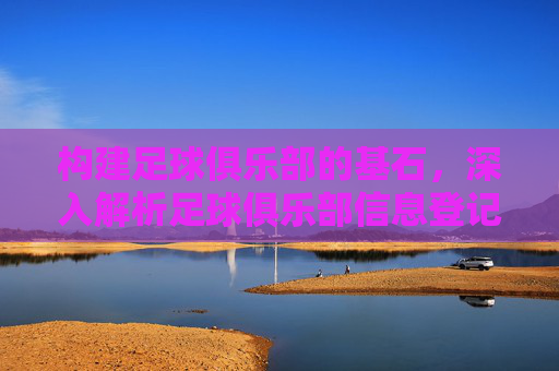 构建足球俱乐部的基石,深入解析足球俱乐部信息登记表的重要性与填写指南