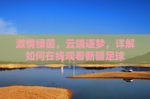 激情绿茵,云端逐梦,详解如何在线观看新疆足球