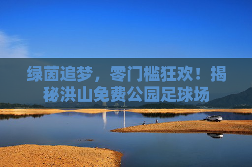 绿茵追梦,零门槛狂欢!揭秘洪山免费公园足球场