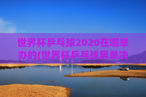 世界杯乒乓球2020在哪举办的(世界杯乒乓球男单决赛)