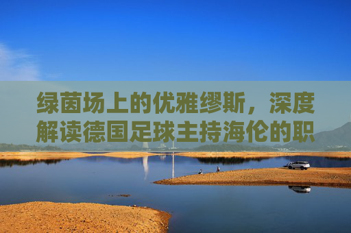 绿茵场上的优雅缪斯,深度解读德国足球主持海伦的职业魅力