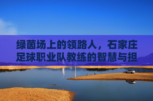绿茵场上的领路人,石家庄足球职业队教练的智慧与担当