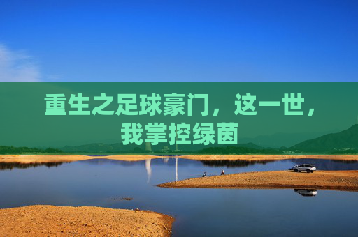 重生之足球豪门,这一世,我掌控绿茵
