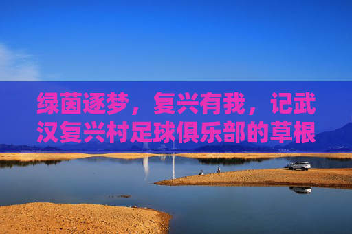 绿茵逐梦,复兴有我,记武汉复兴村足球俱乐部的草根征程